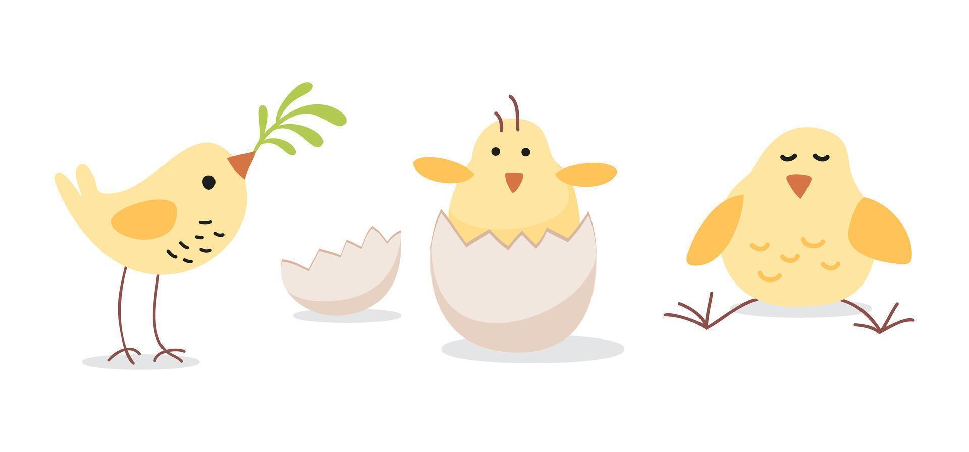 pequeño Pascua de Resurrección aves colocar. linda amarillo pollos aislar ilustración. Días festivos primavera invitación. primavera estado animico dibujado elementos. festivo ilustración para invitación, tarjeta postal, social medios de comunicación. vector