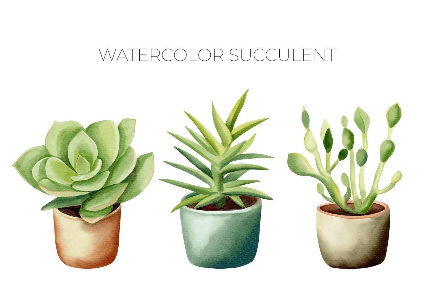 Watercolor succulent plants in pot. Set of watercolor flower pot isolated on white. Mexican plants vector