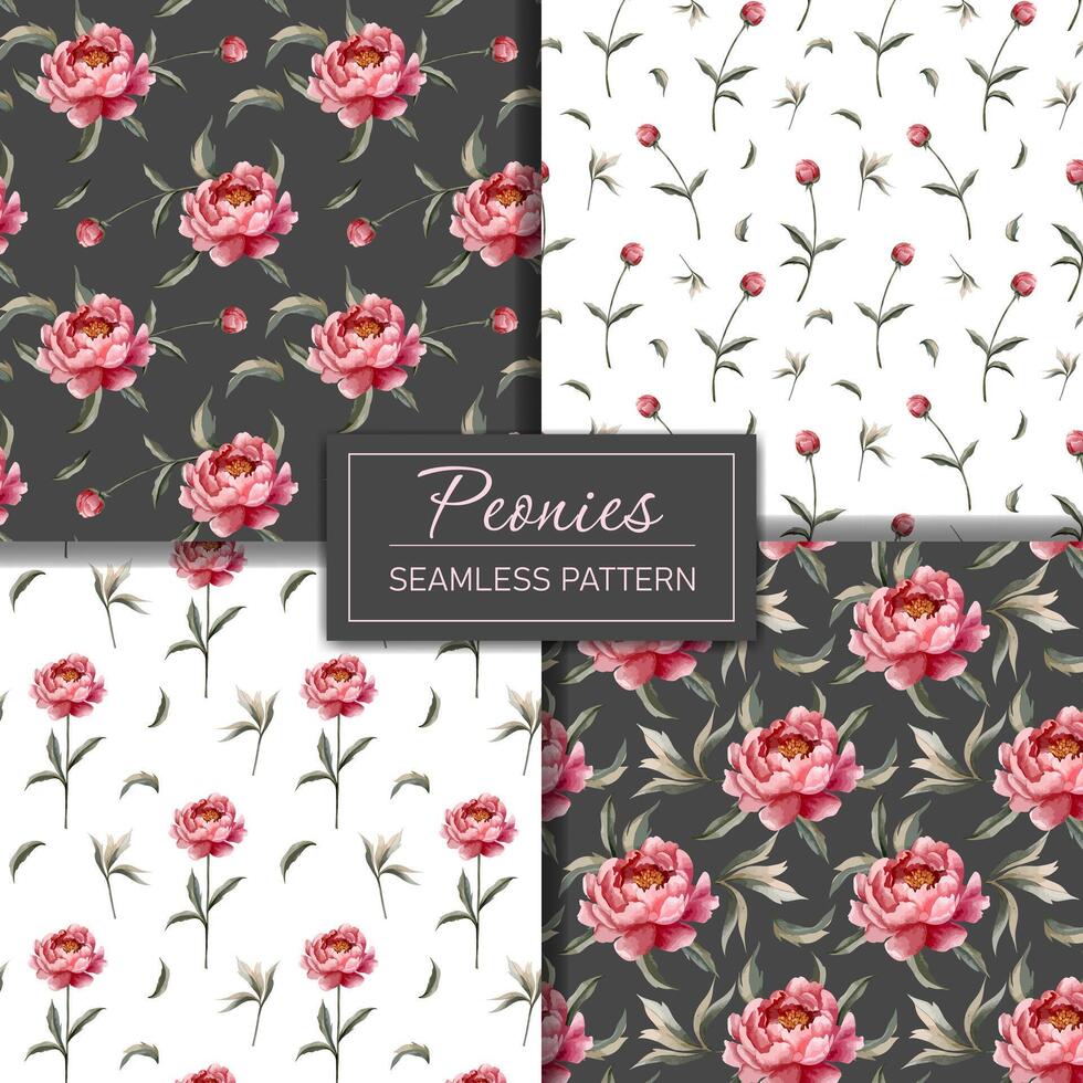 conjunto de floral antecedentes con acuarela peonias mano dibujado peonía fondo de pantalla. flor sin costura modelo. vector