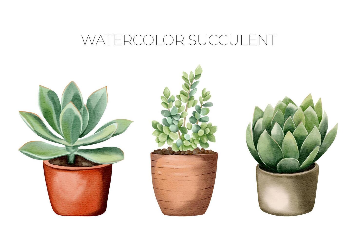 Watercolor succulent plants in pot. Set of watercolor flower pot isolated on white. Mexican plants vector