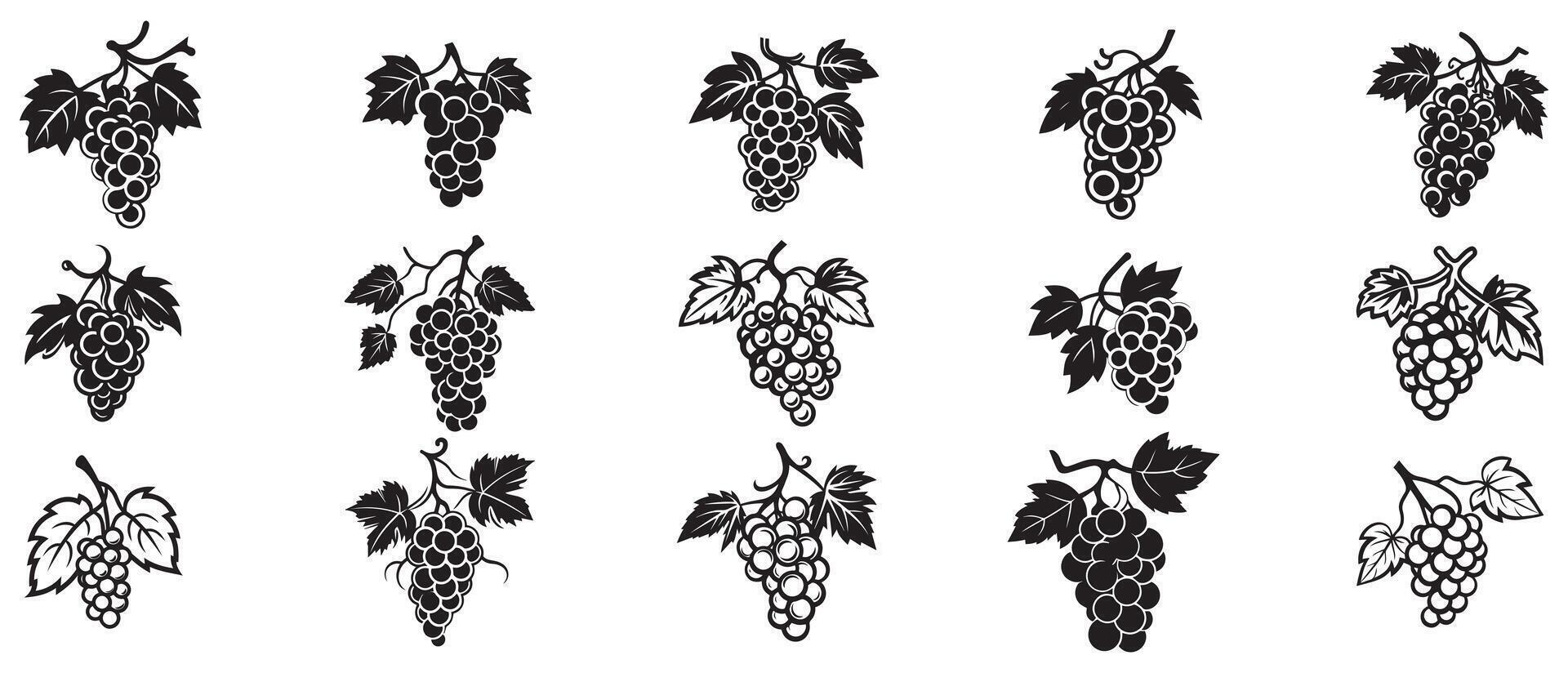 Grape icon black and white background design. silhouette style, vector illustration.
