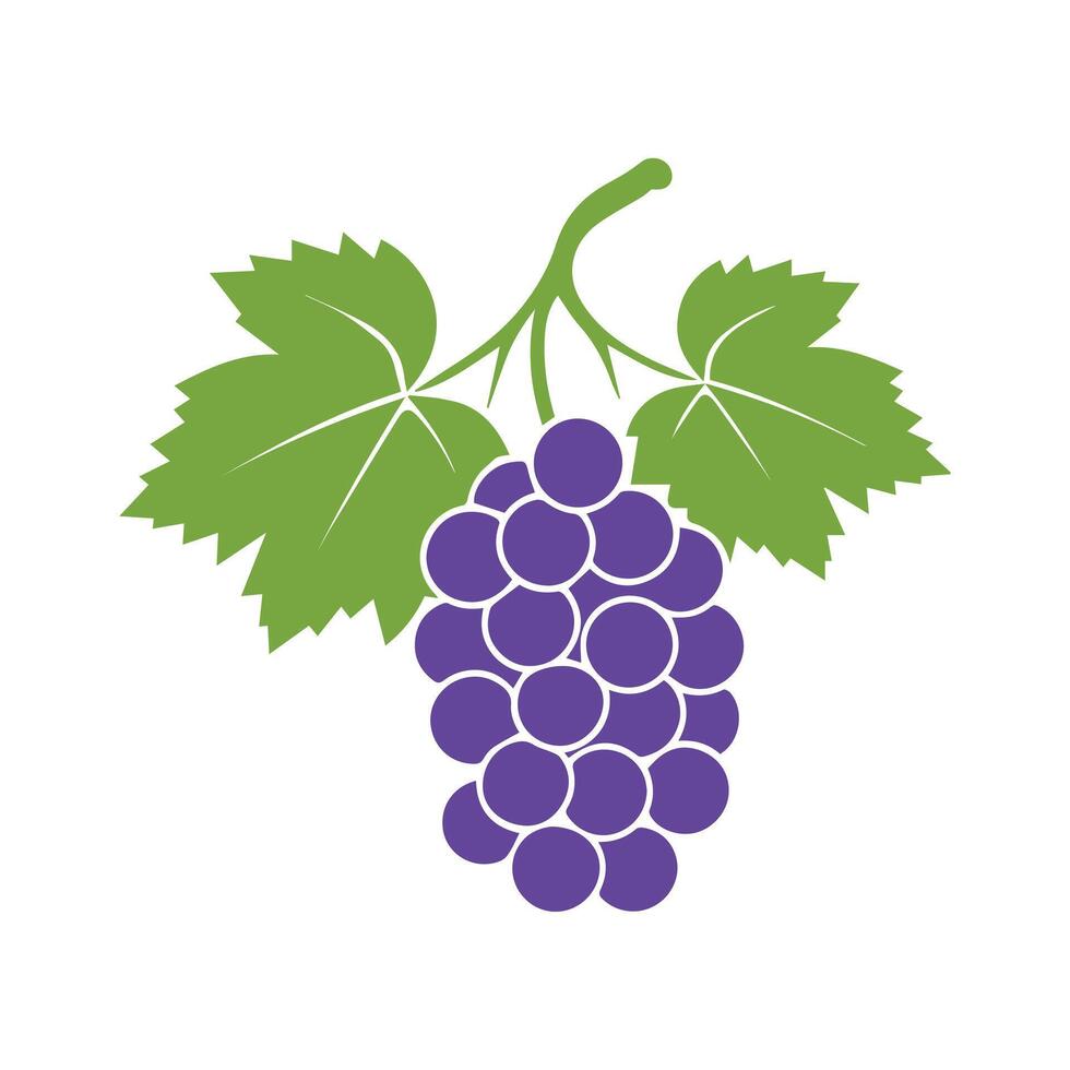 Grapes icon black and white background design. silhouette style, vector illustration.