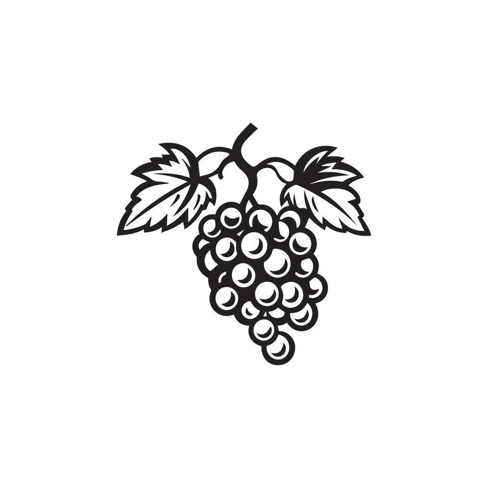 Grape icon black and white background design. silhouette style, vector illustration.