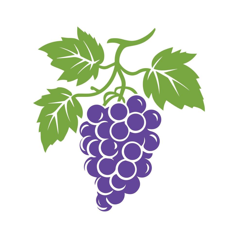 Grapes icon black and white background design. silhouette style, vector illustration.