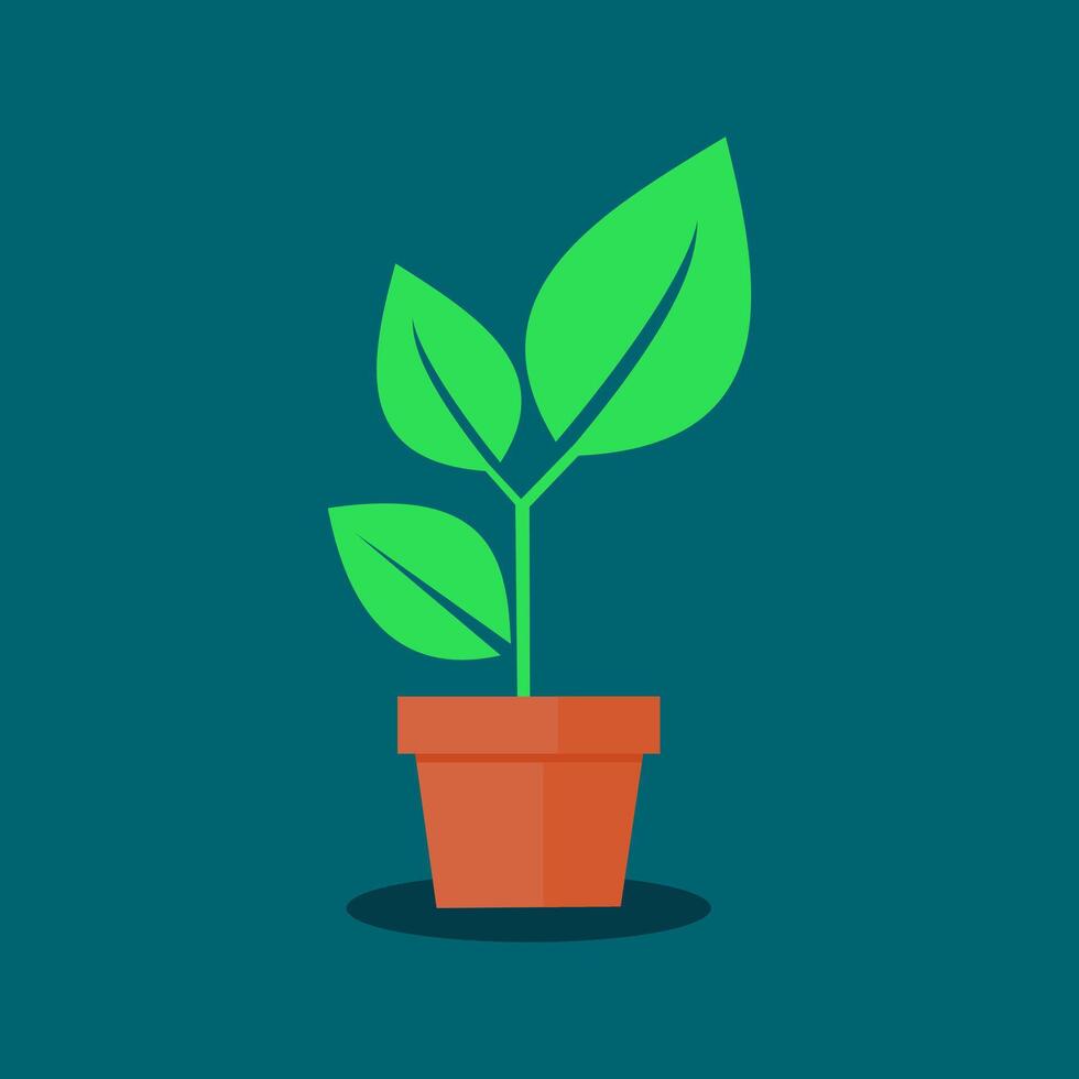 tree in a pot. The concept of growth vector