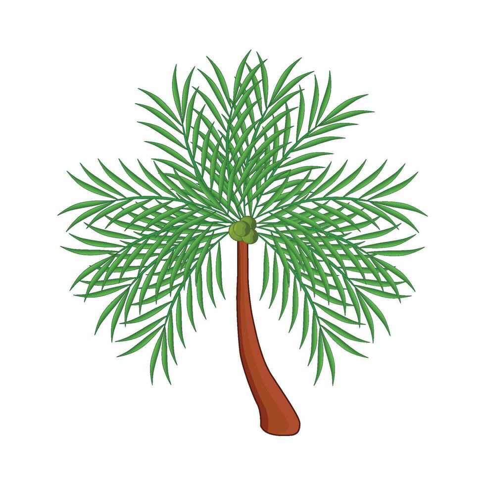 illustration of palm tree vector