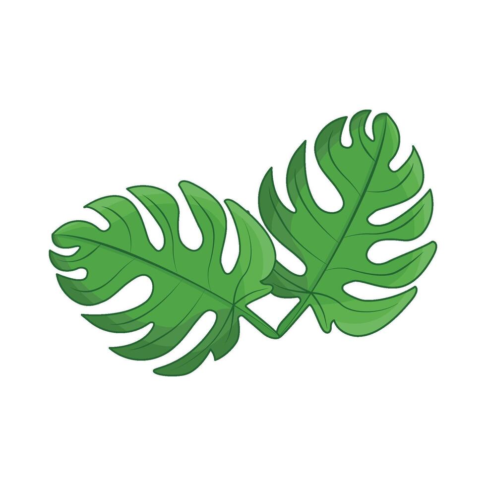 illustration of palm leaf vector