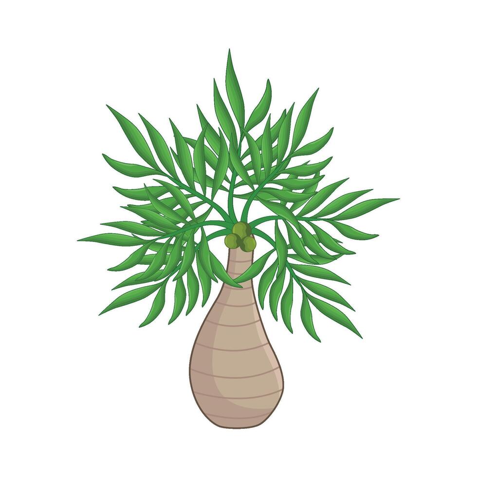 illustration of palm vector