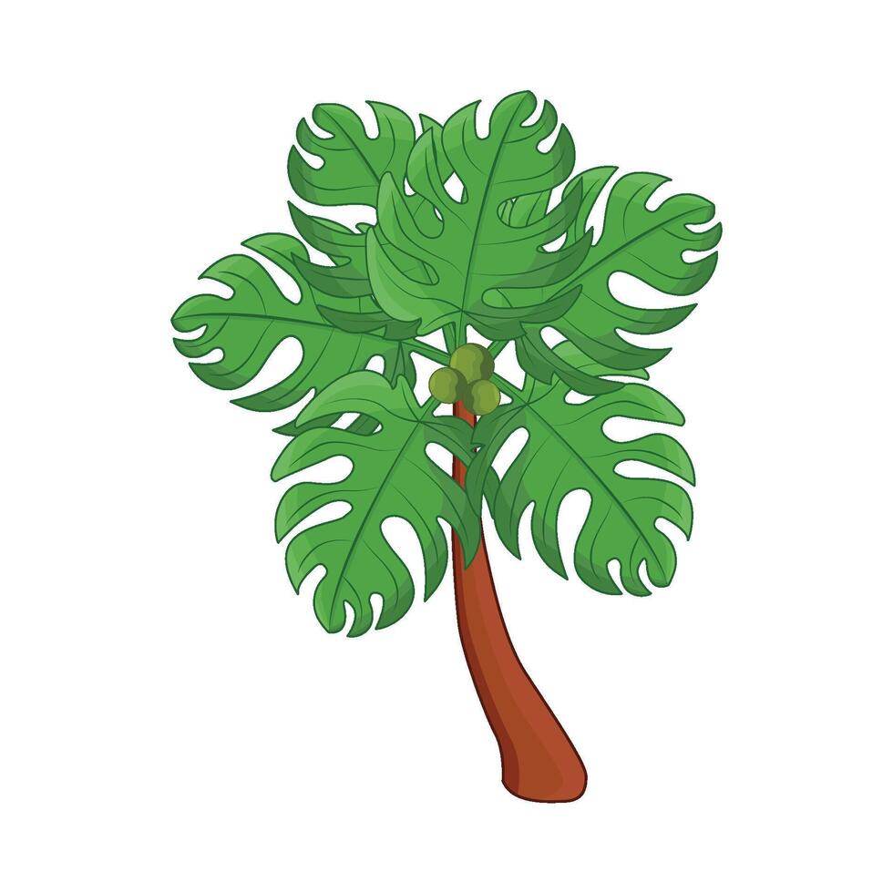 ilustración de palma árbol vector