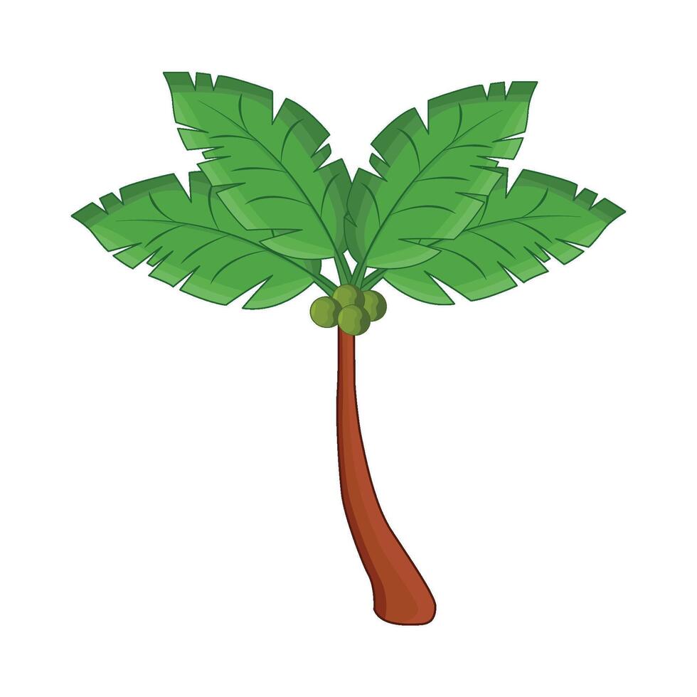 ilustración de palma árbol vector