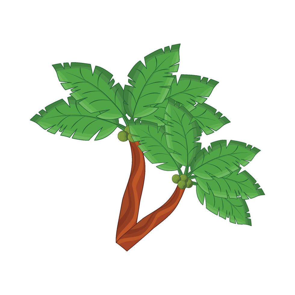 ilustración de palma árbol vector