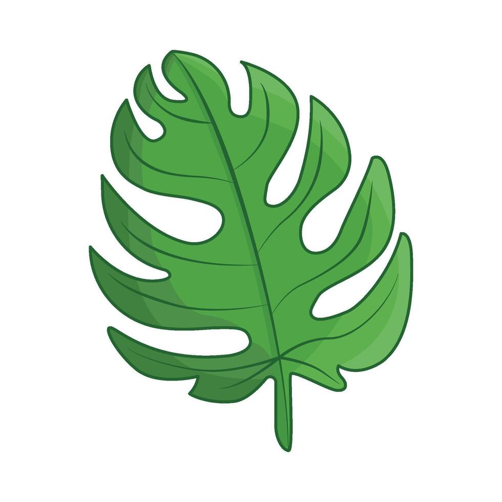 illustration of palm leaf vector