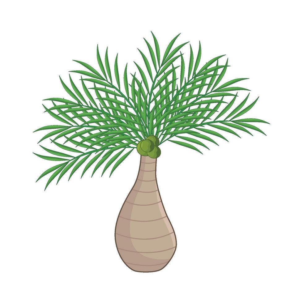 illustration of palm vector