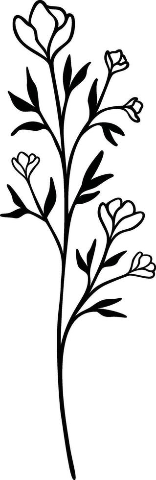 Wildflower Line Art, Botanical Floral Vector Illustration