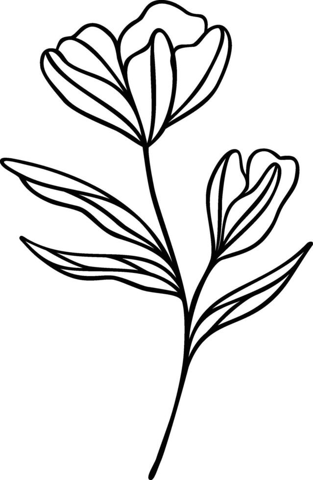 Flower Line Art, Botanical Floral Vector Illustration