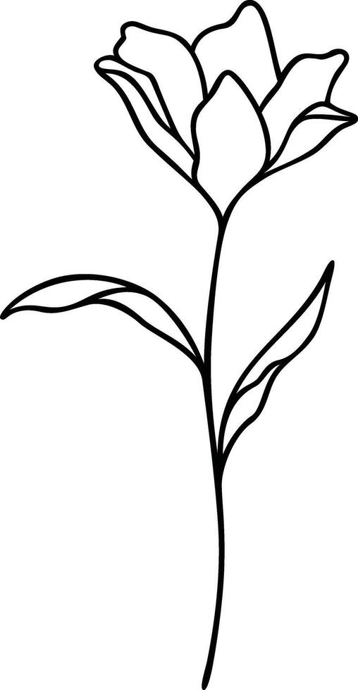 Floral Line Art, Botanical Flower Vector Illustration