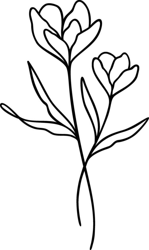 Flower Line Art, Botanical Floral Vector Illustration