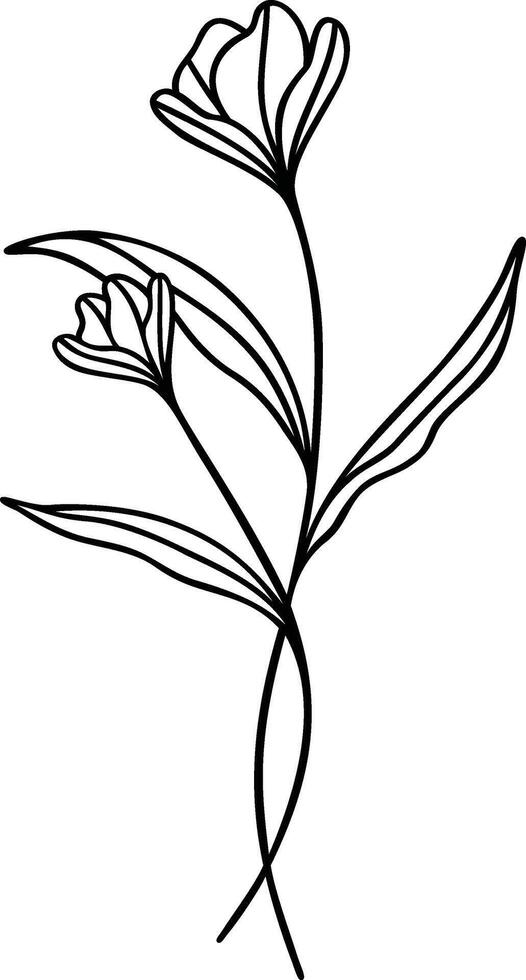 Floral Line Art, Botanical Flower Vector Illustration