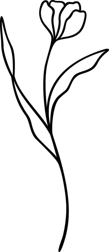 Floral Line Art, Botanical Flower Vector Illustration