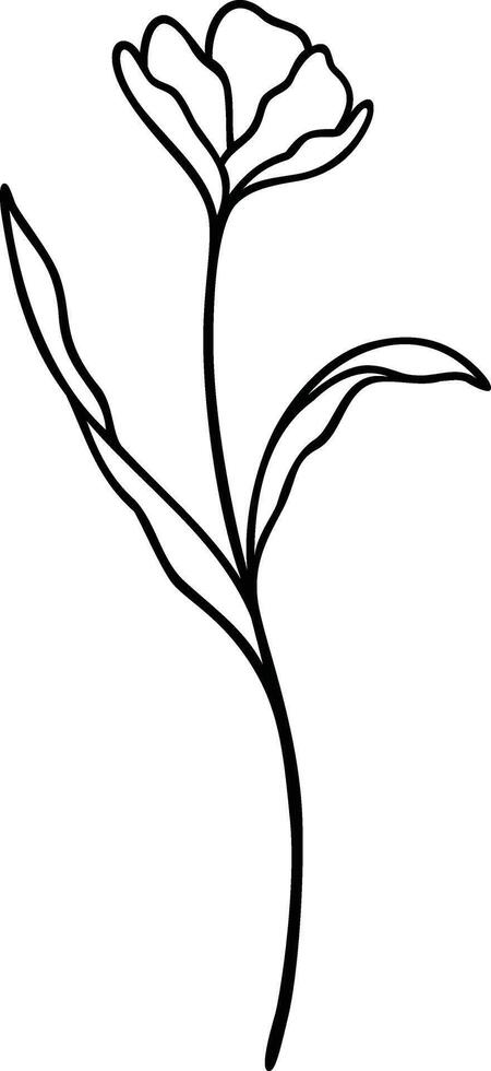 Floral Line Art, Botanical Flower Vector Illustration