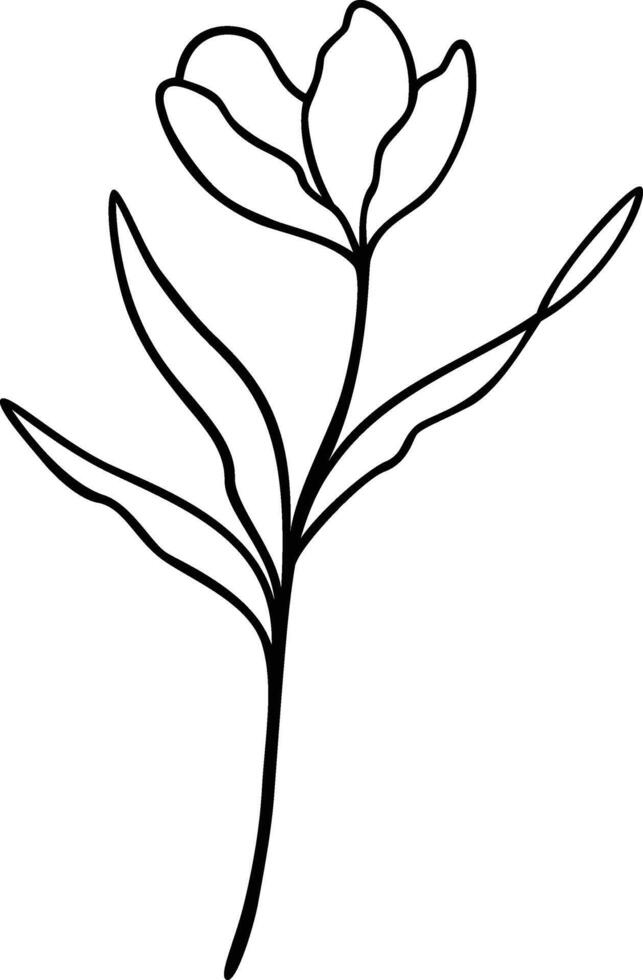 Flower Line Art, Botanical Floral Vector Illustration