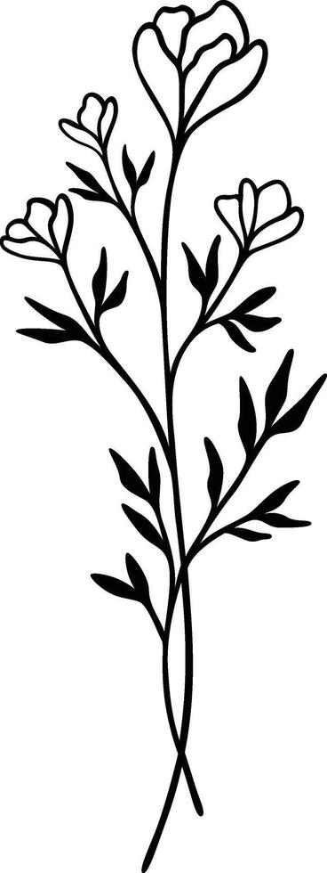 Floral Line Art, Botanical Flower Vector Illustration