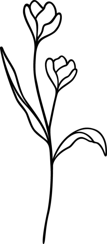 Floral Line Art, Botanical Flower Vector Illustration
