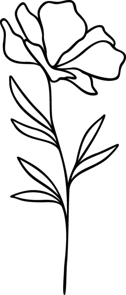 Flower Line Art, Botanical Floral Vector Illustration