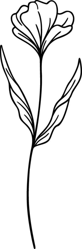 floral línea arte, botánico flor vector ilustración
