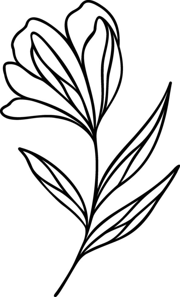 Flower Line Art, Botanical Floral Vector Illustration