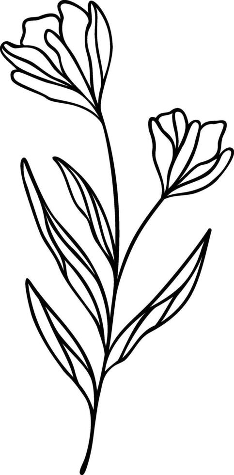 Flower Line Art, Botanical Floral Vector Illustration