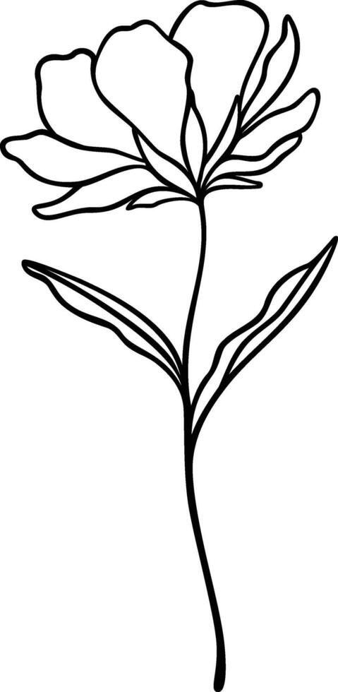 Flower Line Art, Botanical Floral Vector Illustration
