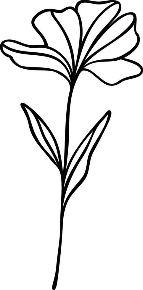 Flower Line Art, Botanical Floral Vector Illustration