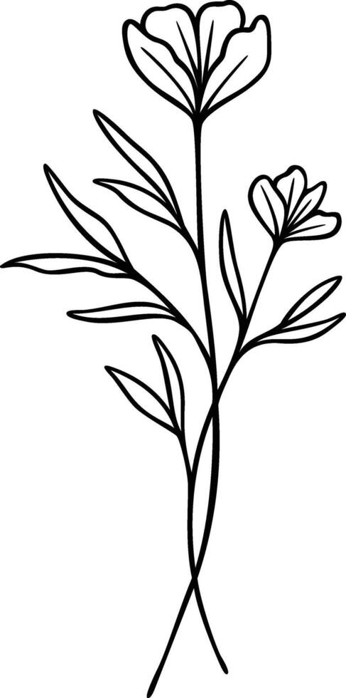 Flower Line Art, Botanical Floral Vector Illustration