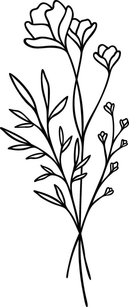 Floral Line Art, Botanical Flower Vector Illustration