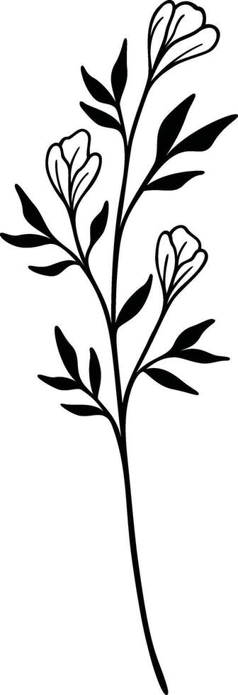 Floral Line Art, Botanical Flower Vector Illustration