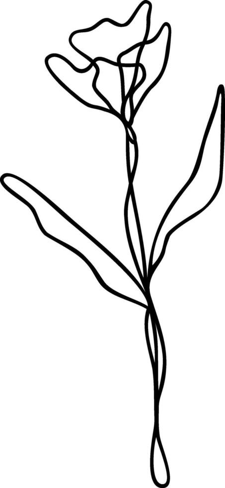 Flower Line Art, Continuous Line Floral Design vector