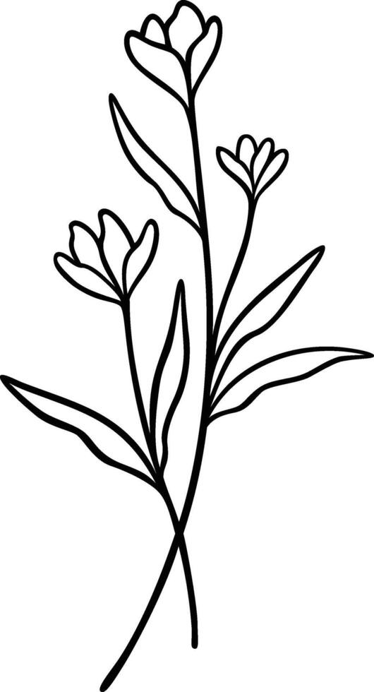 Intertwined Flower Line Art, Botanical Floral Vector Illustration