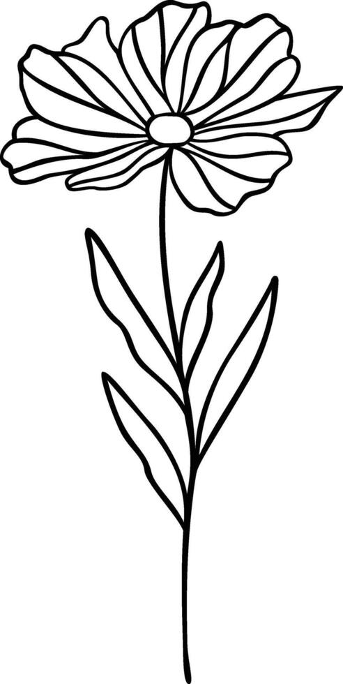 Flower Line Art, Botanical Floral Vector Illustration