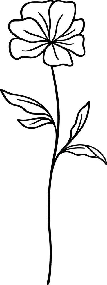 Floral Line Art, Botanical Flower Vector Illustration