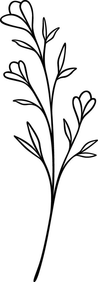 Floral Line Art, Botanical Wildflower Vector Illustration