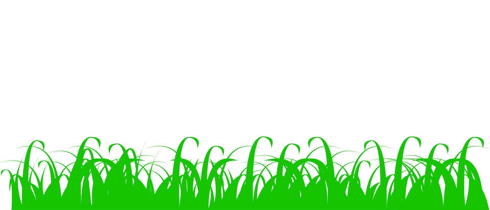 Green grass meadow. Spring or summer plant field lawn vector