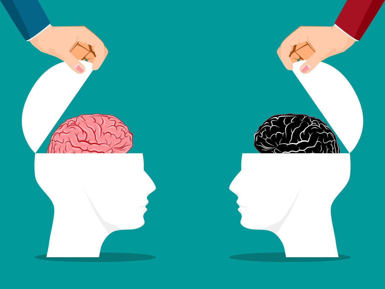 Both sides of the human head were opened with a brain vector