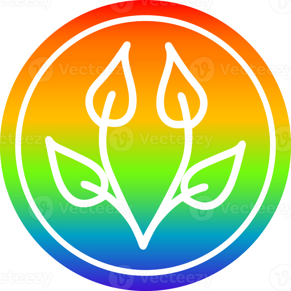 natural leaf circular icon with rainbow gradient finish png