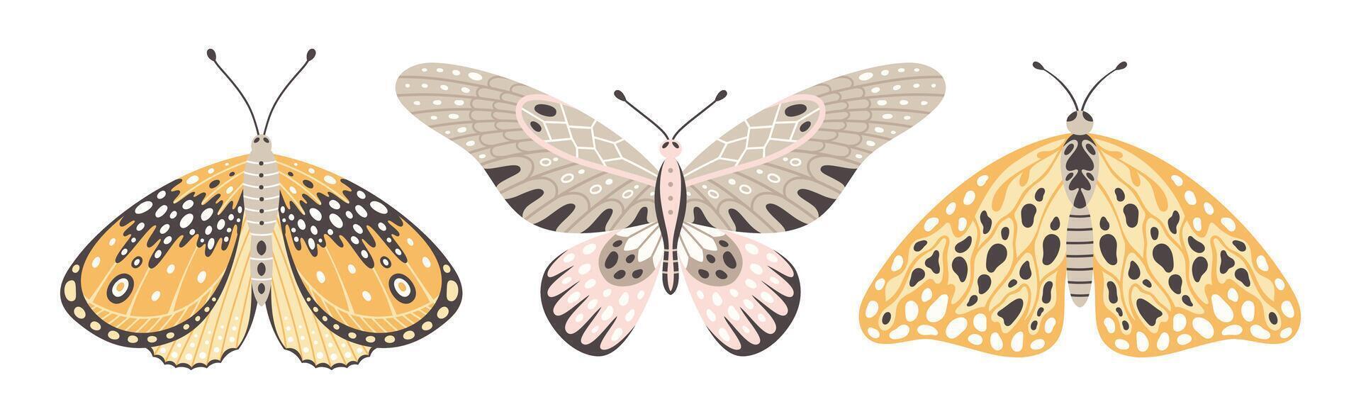 vistoso mariposas y polillas, un conjunto de Tres vector ilustraciones. mosca insecto alas con resumen ornamento, frente vista, un símbolo para tatuaje diseño. verano antecedentes