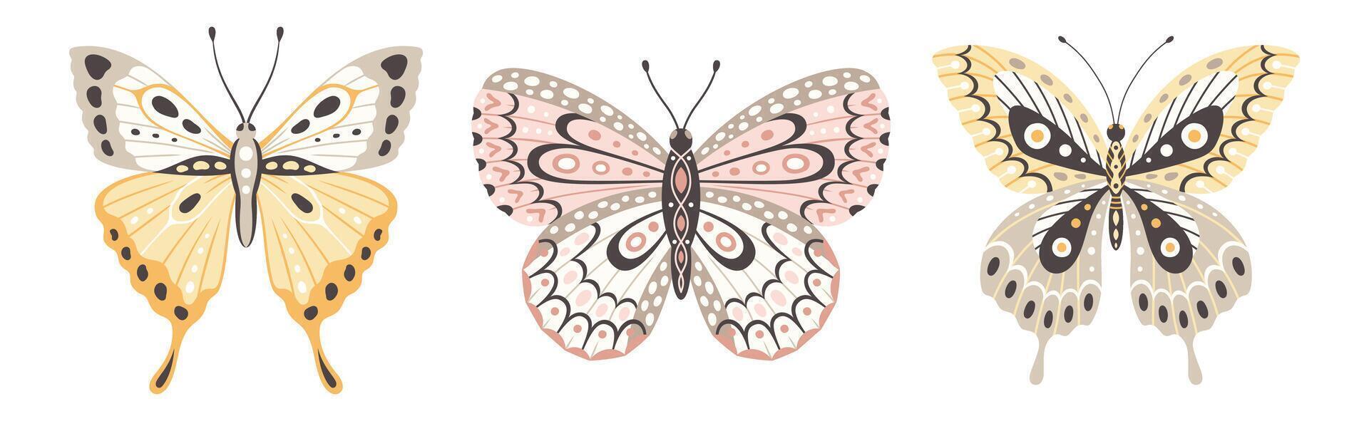 Set of three colorful butterflies, vector illustration. Fly insect wings with abstract ornament, front view, a symbol for tattoo design. Summer background