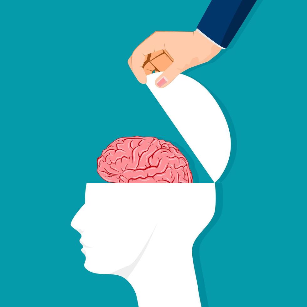 human head is opened with the brain. vector