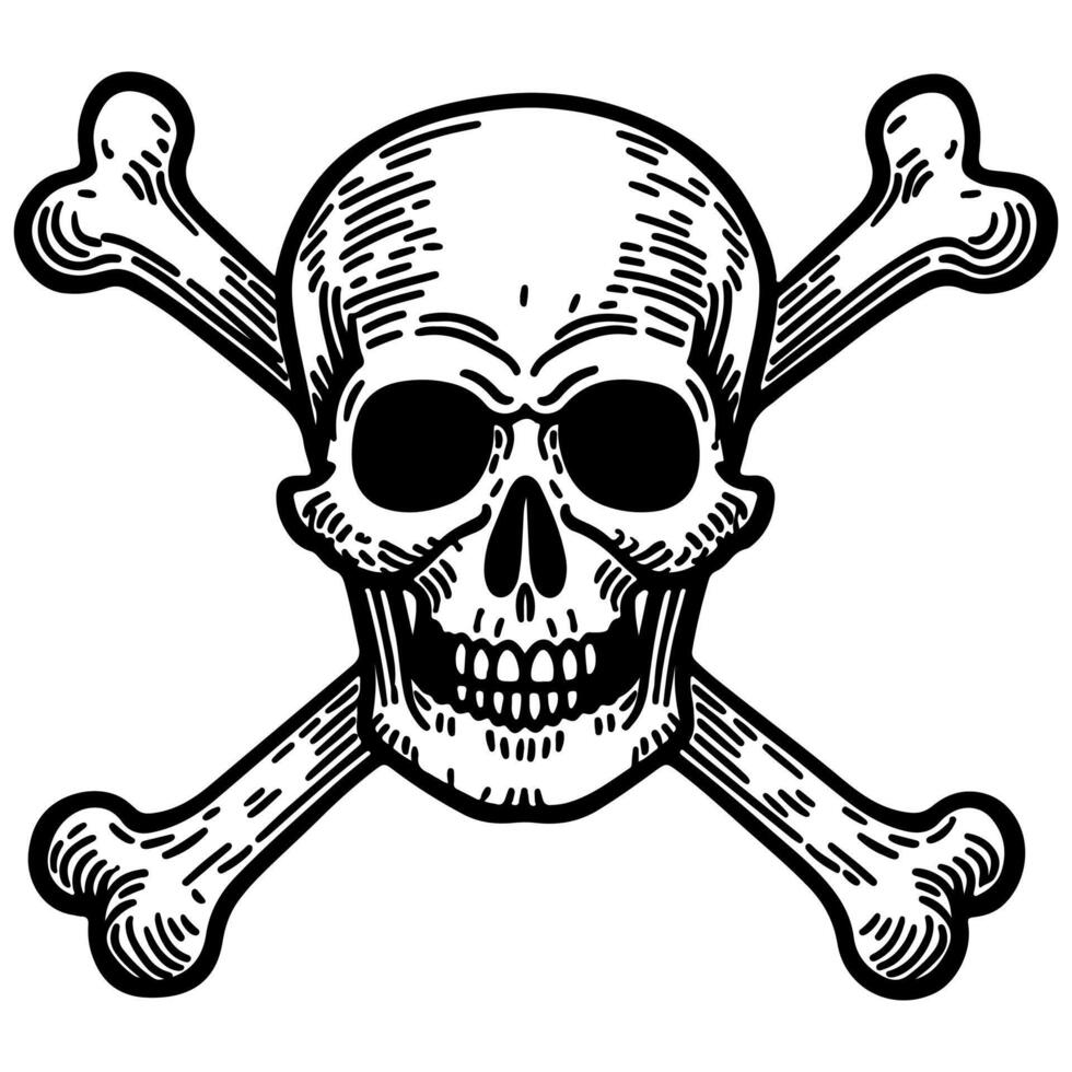 skull and crossbone vector