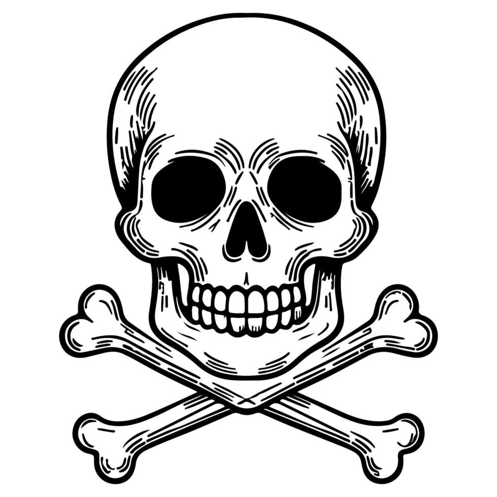 skull and crossbone vector