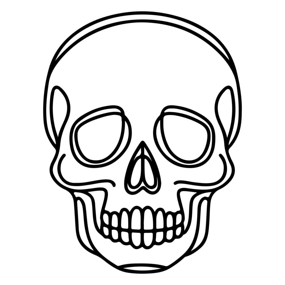 skull and crossbone vector
